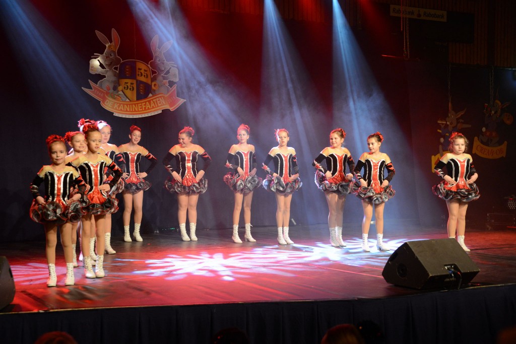 ../Images/Dansmarieke festival 2015 133.jpg